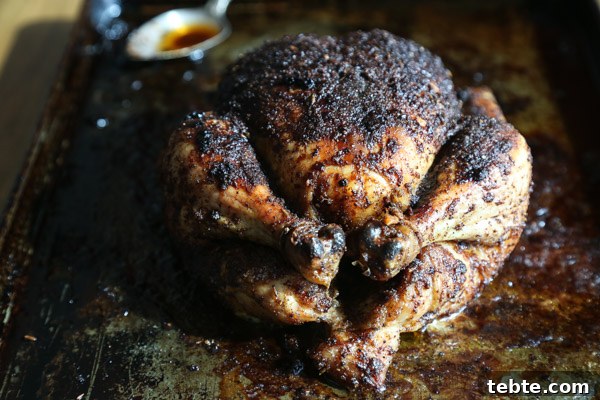Crispy Oven-Roasted Rotisserie Chicken — Gluten-Free Recipe 10 Magic At-Home Rotisserie Chicken Recipe with Smoky Seasoning Rub