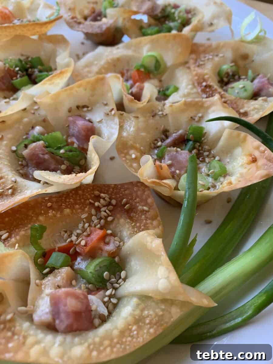 Crispy Pork Wonton Stars: Bite-Sized Appetizer Recipe 2 Pork Won Ton Stars