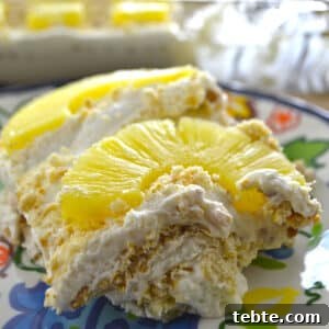 Creamy Pineapple Dream Dessert Recipe for Any Occasion 2 A side view of pineapple dream dessert cut to show texture.