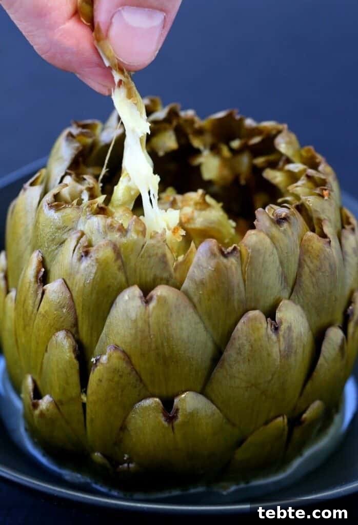 Delicious Vegetables Even Picky Eaters Will Love 5 There's tons of flavor - and tons of cheese in these Stuffed Artichokes with Garlic and Fontinella!