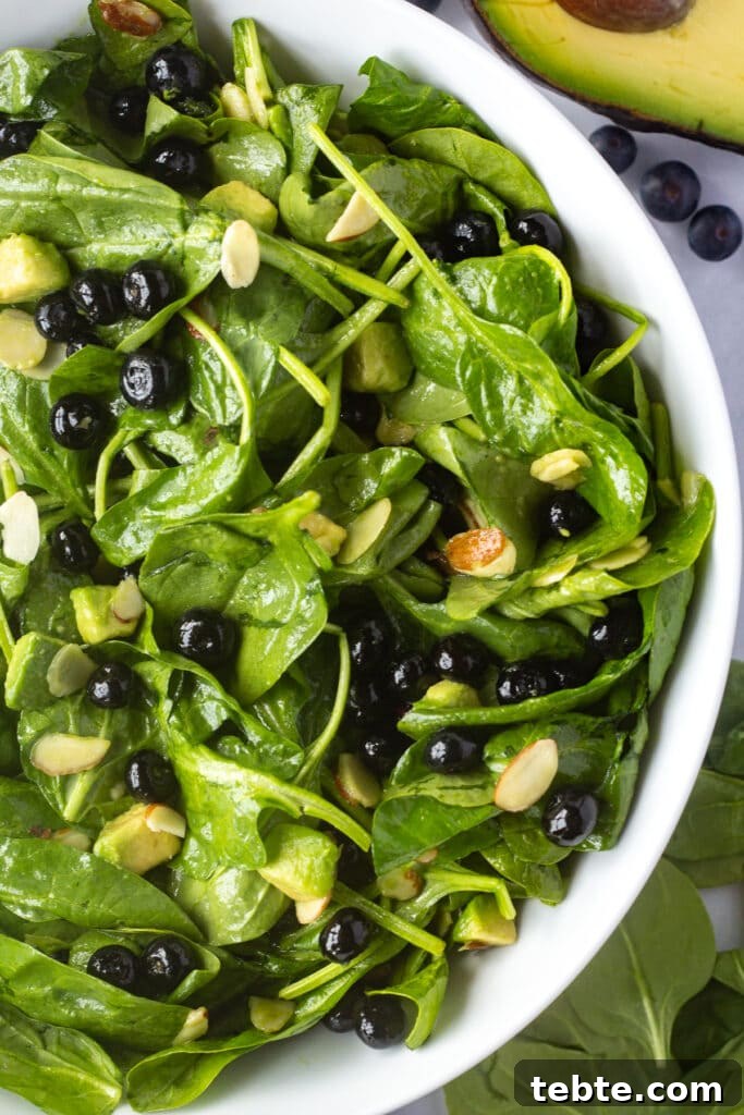 10-Minute Blueberry & Spinach Salad with Sweet Honey Vinaigrette 2 Close up of a large white salad bowl with spinach blueberry salad in it, with ingredients off to the sides.