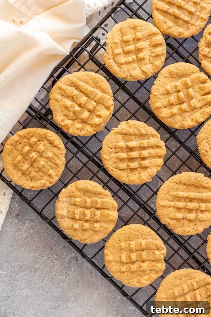 Gluten-Free Nutter Butter Cookies Recipe: Homemade Peanut Butter Sandwich Cookies 4 Round peanut butter cookies sit on a cooling rack over a gray backdrop.