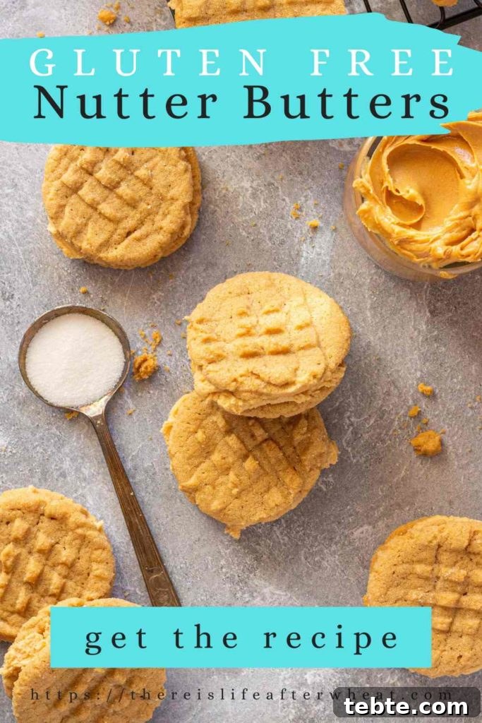 Gluten-Free Nutter Butter Cookies Recipe: Homemade Peanut Butter Sandwich Cookies 5 gluten free nutter butter cookies pinterest image