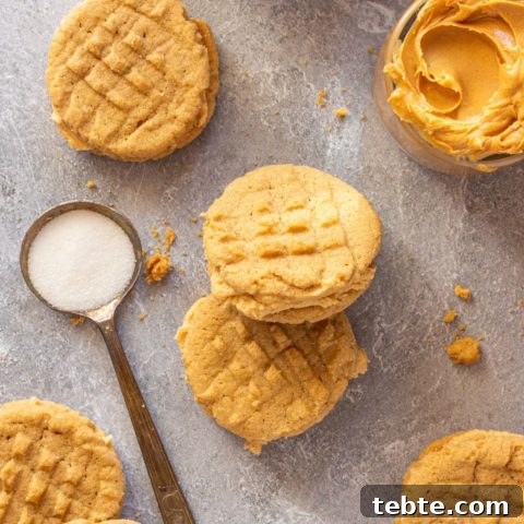 Gluten-Free Nutter Butter Cookies Recipe: Homemade Peanut Butter Sandwich Cookies 6 img 13491 5