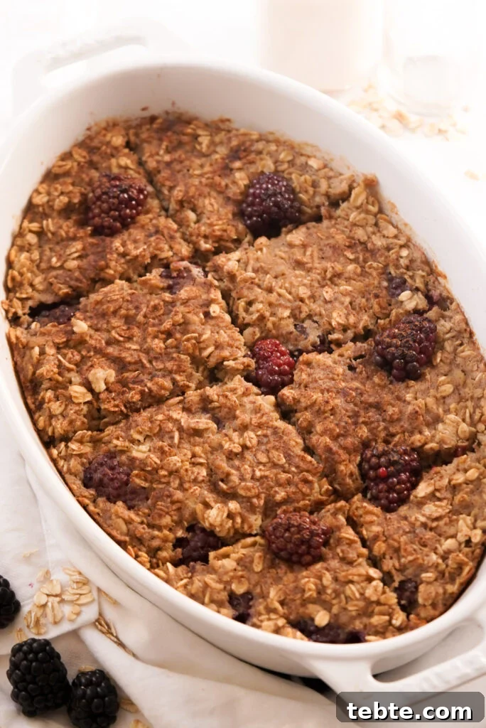Blackberry Oat Bake with Oats and Warm Berry Filling 2 blackberry oatmeal bake