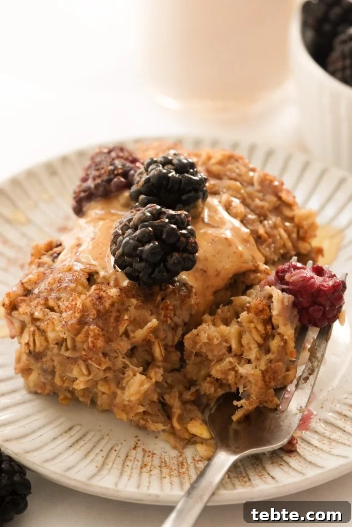 Blackberry Oat Bake with Oats and Warm Berry Filling 7 slice of blackberry oatmeal bake