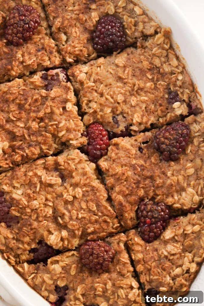 Blackberry Oat Bake with Oats and Warm Berry Filling 9 baked oatmeal in a large baking dish