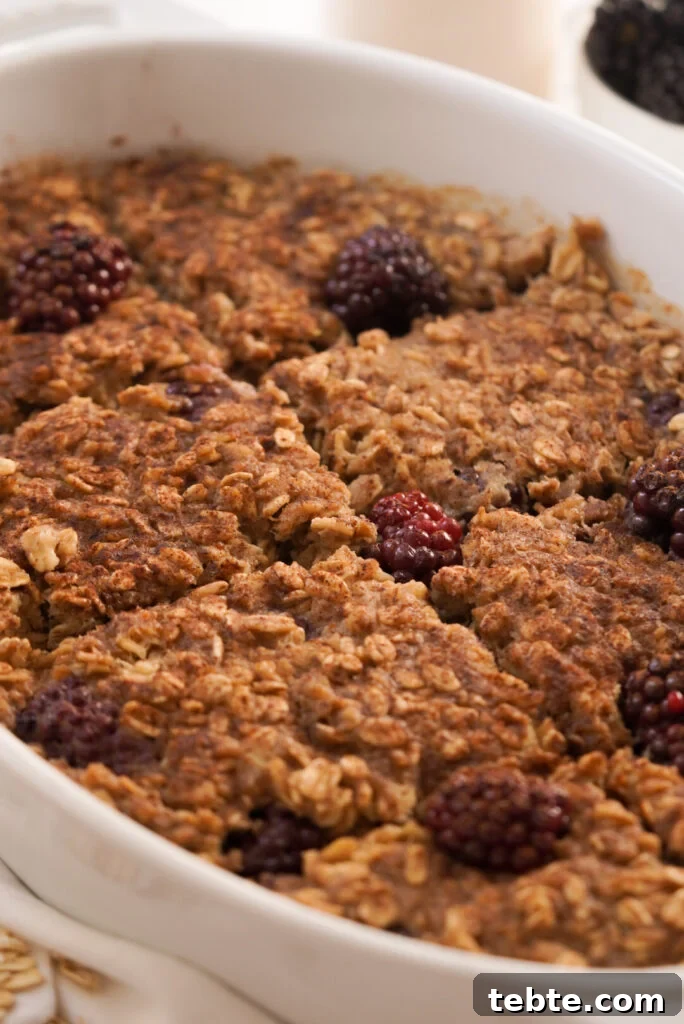 Blackberry Oat Bake with Oats and Warm Berry Filling 3 baked blackberry oatmeal