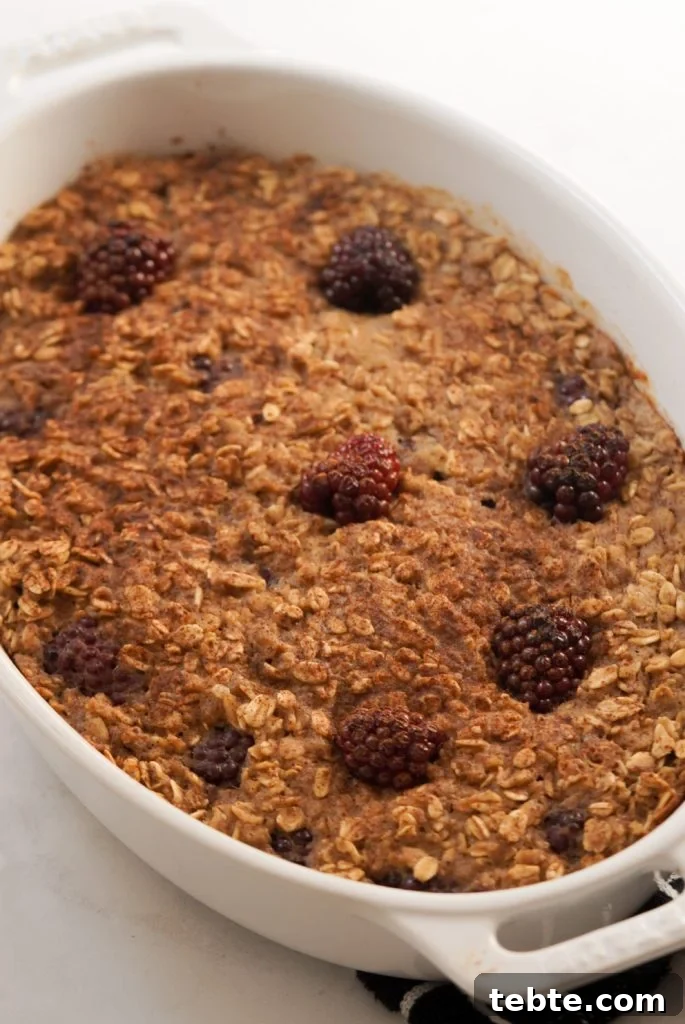 Blackberry Oat Bake with Oats and Warm Berry Filling 6 baked oatmeal with blackberries after baking