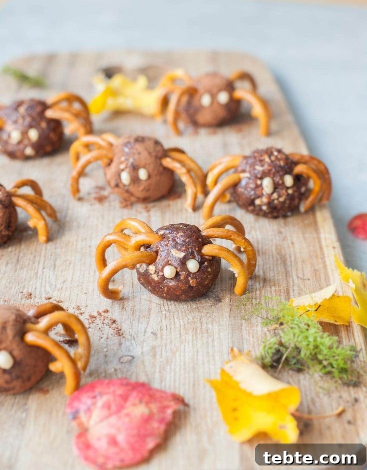 Pretzel Spiders