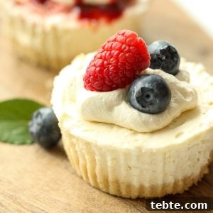 No-Bake Gluten-Free, Dairy-Free Desserts to Impress 12 No-bake Dairy-free Cheesecake - An EASY dessert option that is also gluten-free