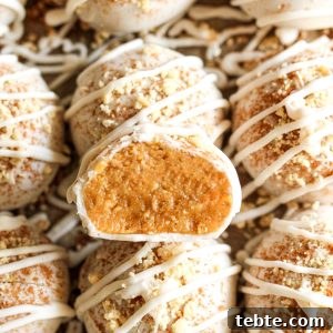 No-Bake Gluten-Free, Dairy-Free Desserts to Impress 18 Pumpkin Spice Oreo Truffles - An EASY no-bake fall dessert