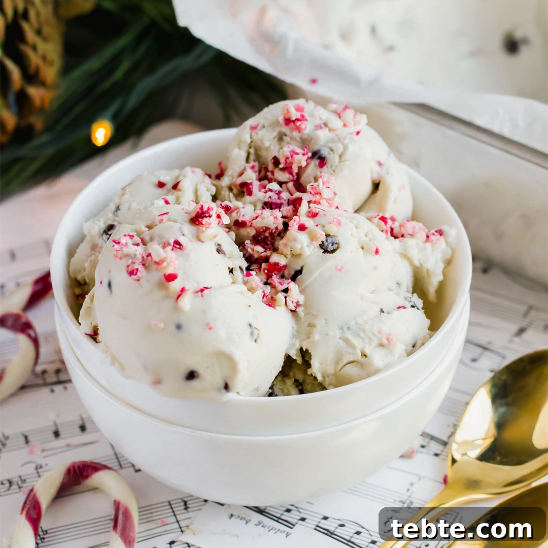 No-Bake Gluten-Free, Dairy-Free Desserts to Impress 20 Paleo Peppermint Ice Cream