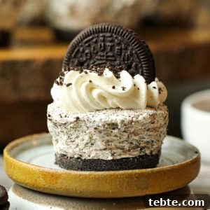 No-Bake Gluten-Free, Dairy-Free Desserts to Impress 4 No-Bake Mini Oreo Cheesecakes (Gluten-free + Dairy-free)