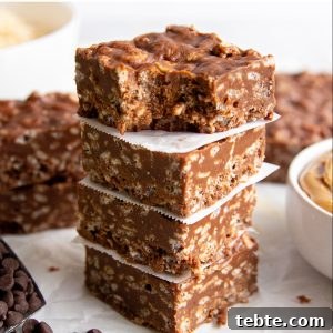 No-Bake Gluten-Free, Dairy-Free Desserts to Impress 8 Peanut Butter Chocolate Rice Crispy Treats - gluten-free, dairy-free, egg-free, EASY!