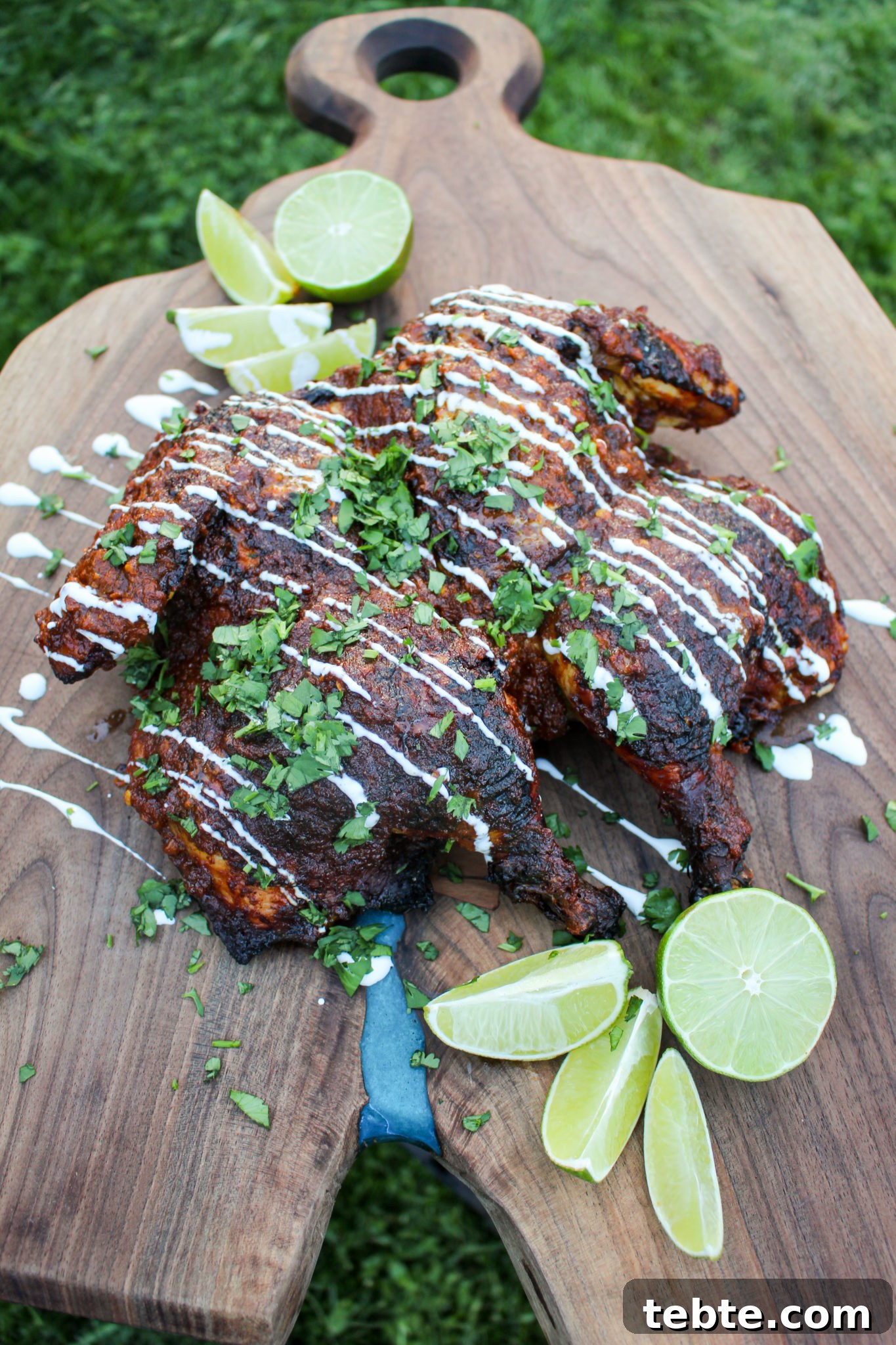 Achiote and Lime Brick‑Pressed Chicken Recipe 2 Bison Tenderloin with Cognac Cream Sauce