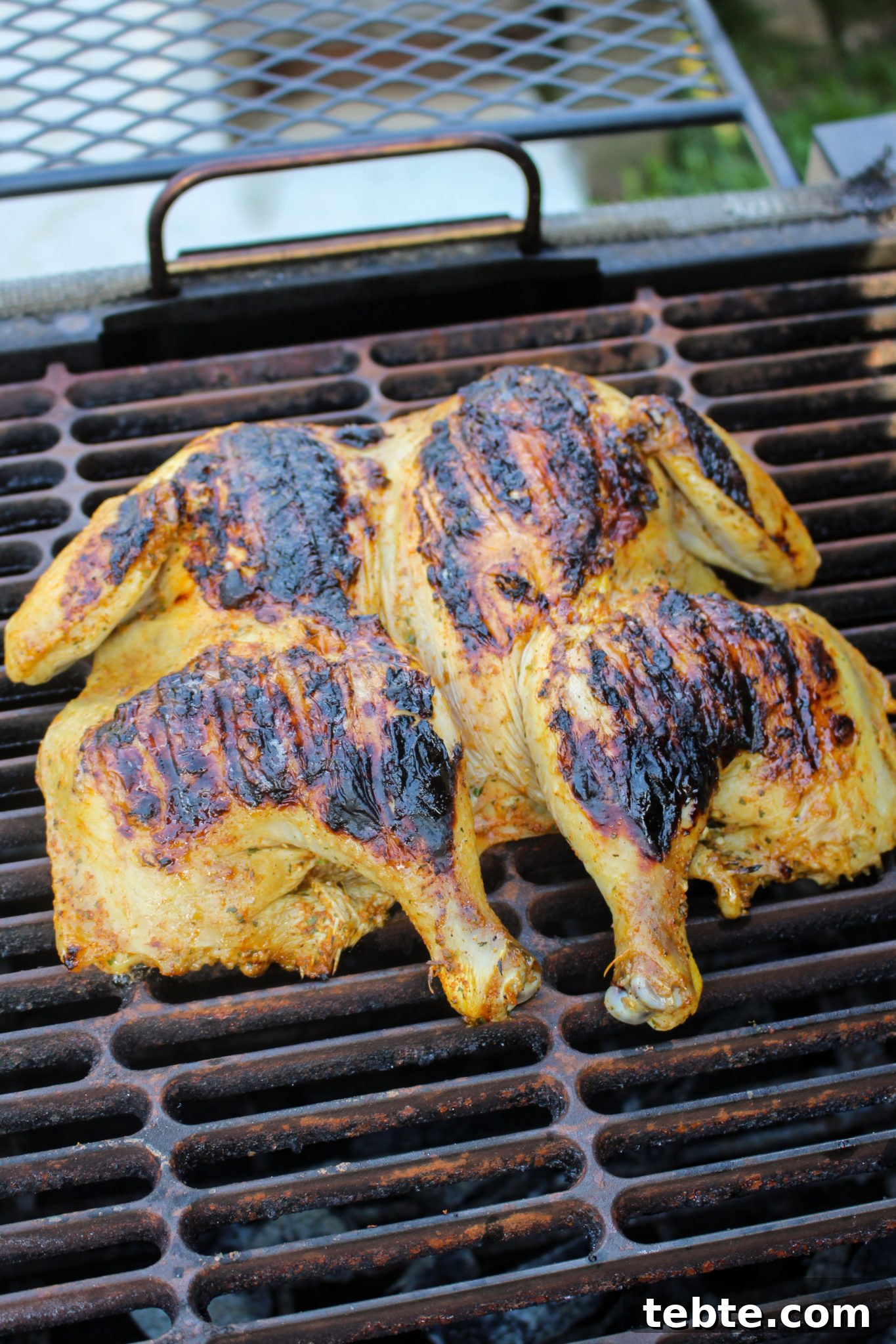 Achiote and Lime Brick‑Pressed Chicken Recipe 4 Achiote Lime Brick Pressed Chicken