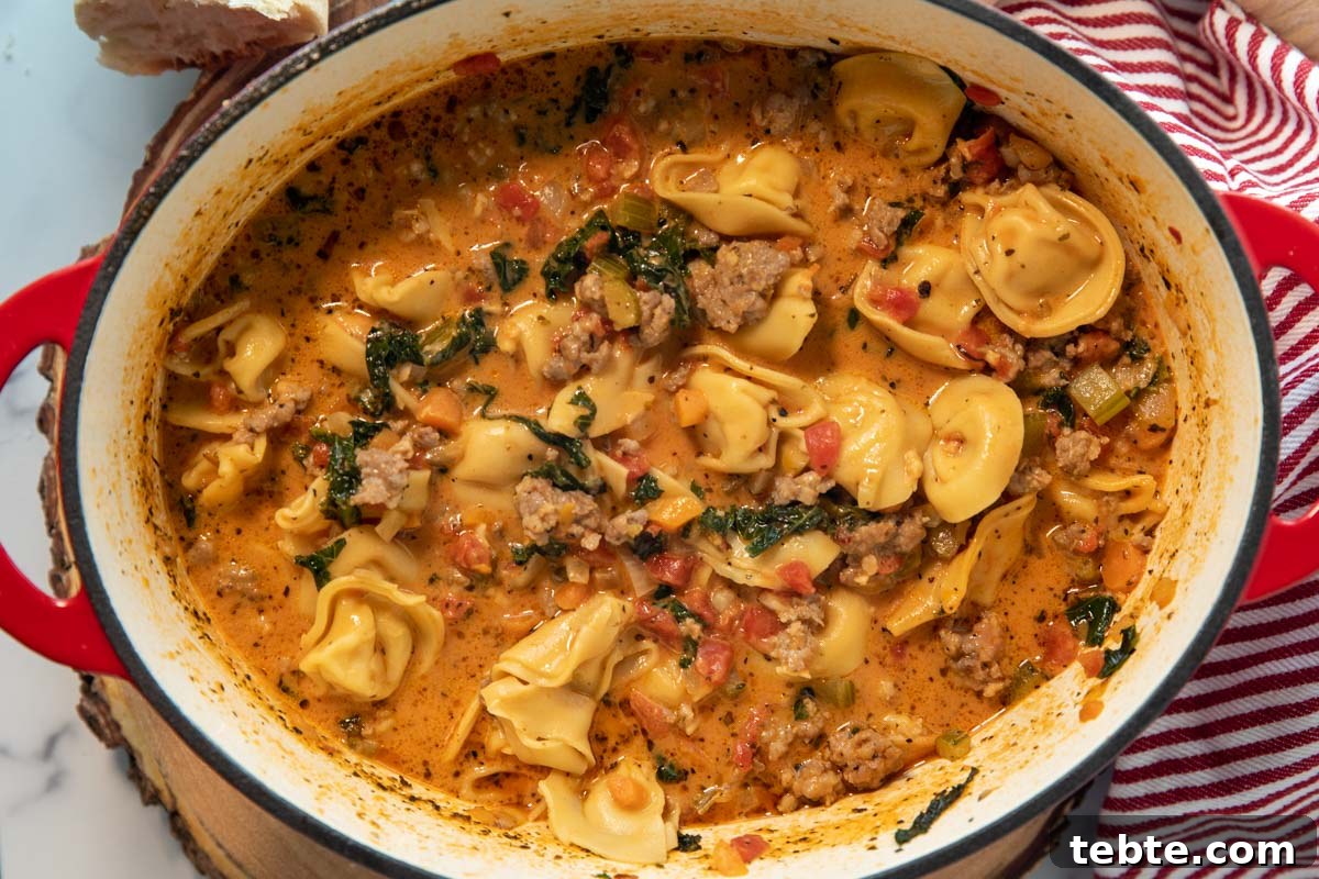 overhead of a pot of spicy tortellini soup