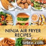 50 Delicious Ninja Air Fryer Recipes for Quick Weeknight Meals 6 A collage of images of dishes made in an air fryer