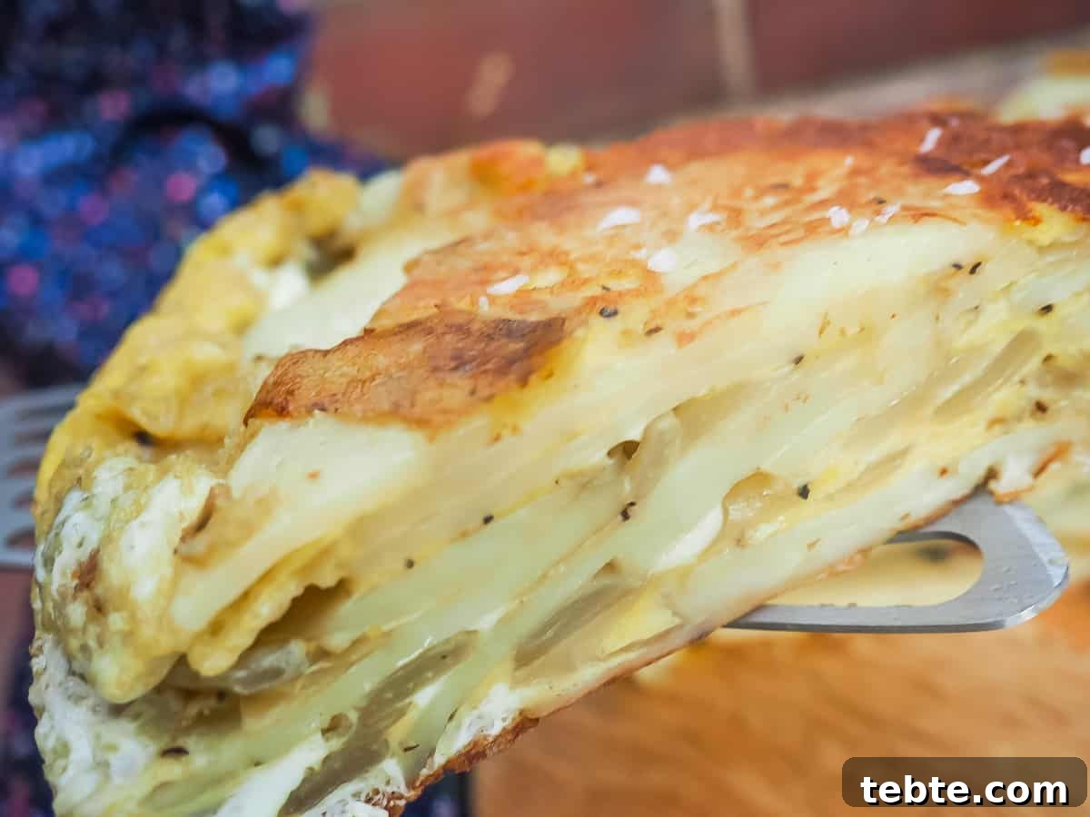 Authentic Spanish Tortilla: Traditional Egg and Potato Recipe 9 A zoomed in picture of the side of a Spanish tortilla on a metal spatula.