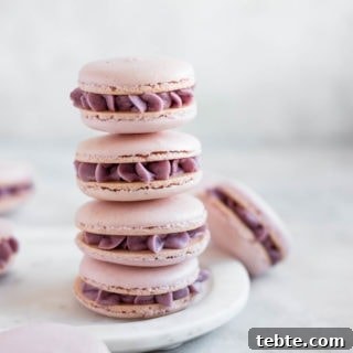 macarons stacked together