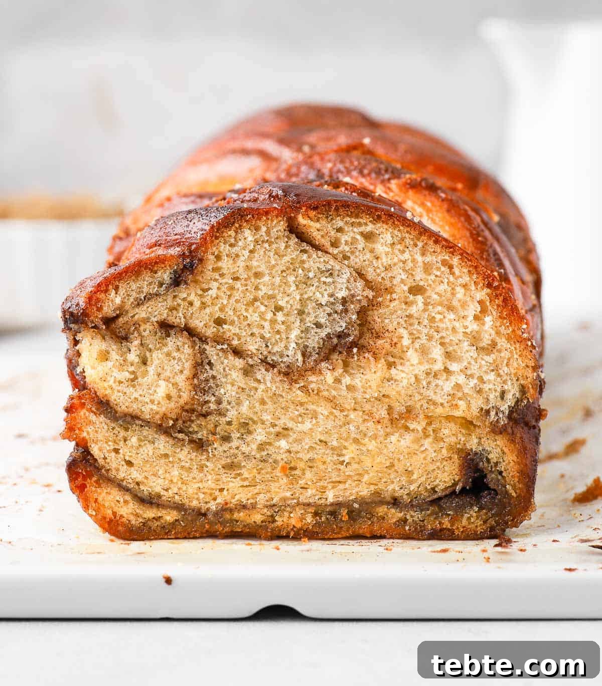 Cinnamon Babka Recipe: Soft, Swirled Brioche Loaf 9 Crumb shot close up.