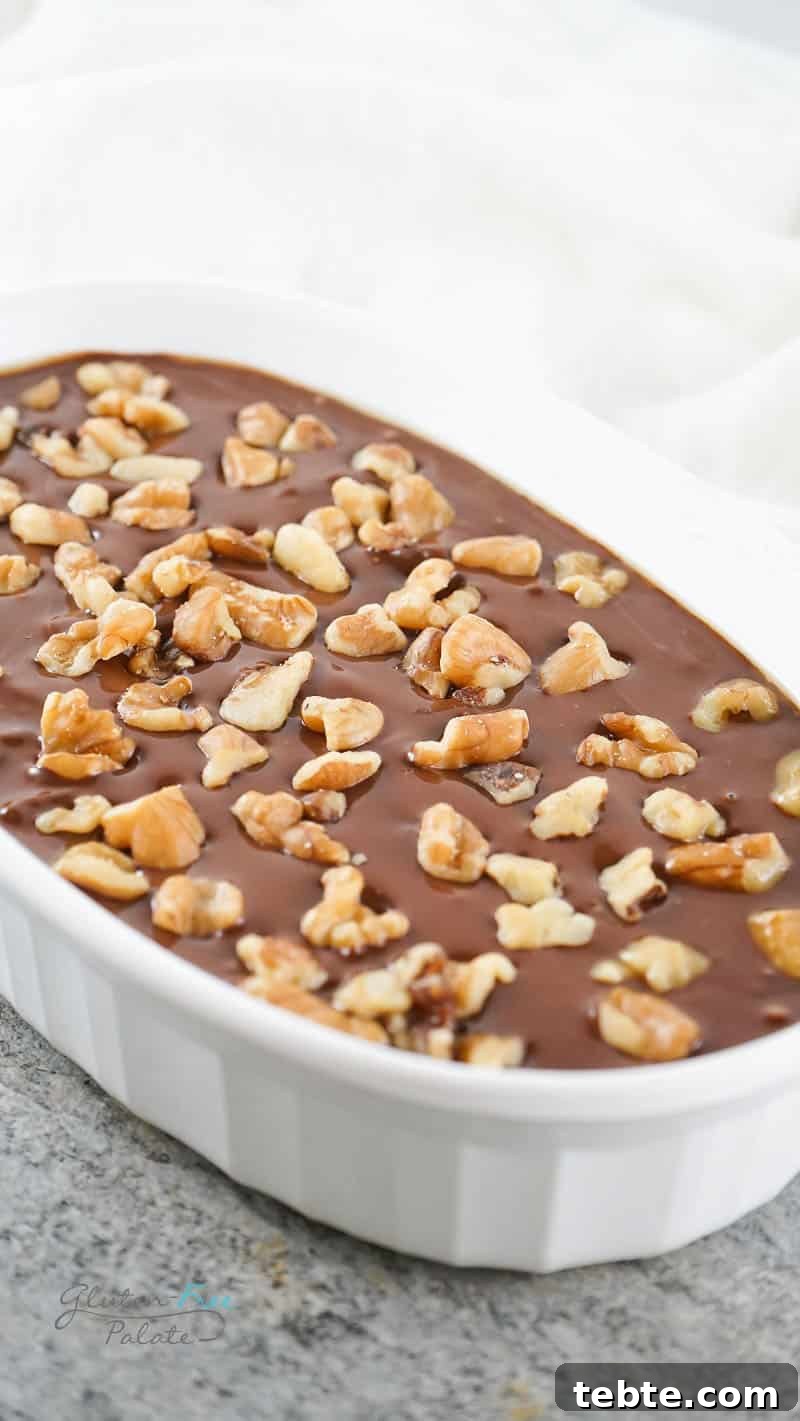 Quick 2-Ingredient Nutella Fudge Recipe 5 nutella fudge in a white oval dish