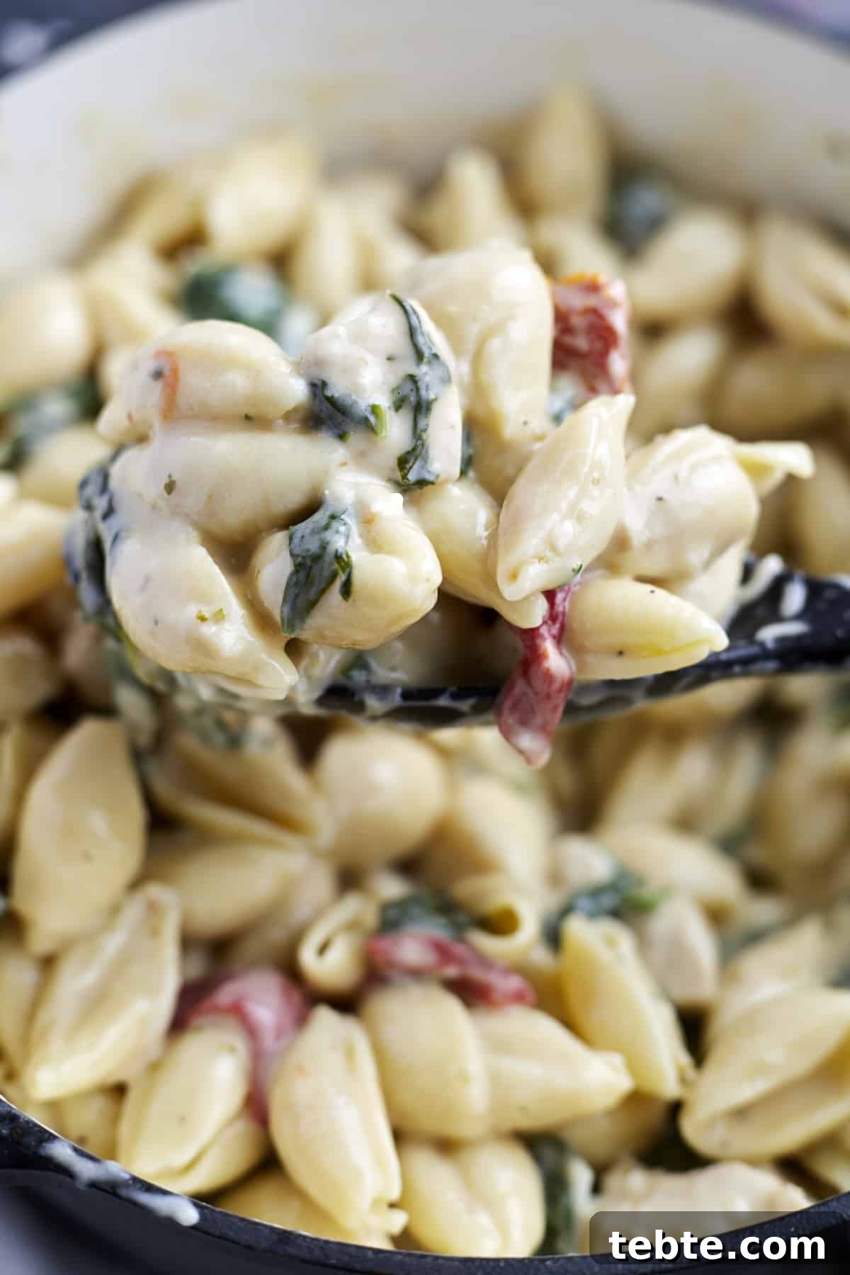 Creamy Tuscan Chicken Pasta Made in One Pot 7 A spoonful of creamy tuscan chicken pasta over a pot.