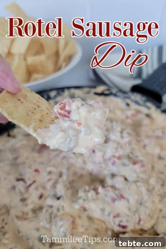 3-Ingredient Rotel and Sausage Dip Recipe 2 Rotel sausage dip text over a hand dipping a tortilla strip into dip in a cast iron skillet