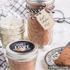 DIY Hot Cocoa Mix Recipe for Rich, Creamy Hot Chocolate 15 Glass jars filled with homemade hot cocoa mix, glass jar with mini marshmallows, checkered linen, measuring cup with hot cocoa mix, on a marble countertop.
