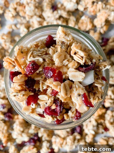 Homemade Coconut Cranberry Granola