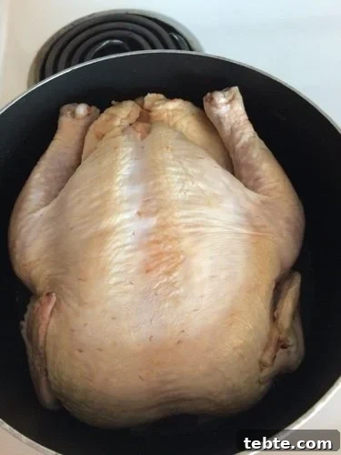 Make Flavorful Turkey Broth from Leftover Turkey Bones 3 Turkey Broth from a Leftover Turkey|The Holy Mess