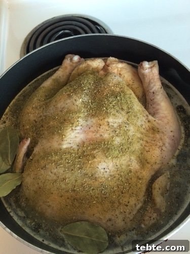 Make Flavorful Turkey Broth from Leftover Turkey Bones 4 How to Make Turkey Broth from a Leftover Turkey|The Holy Mess