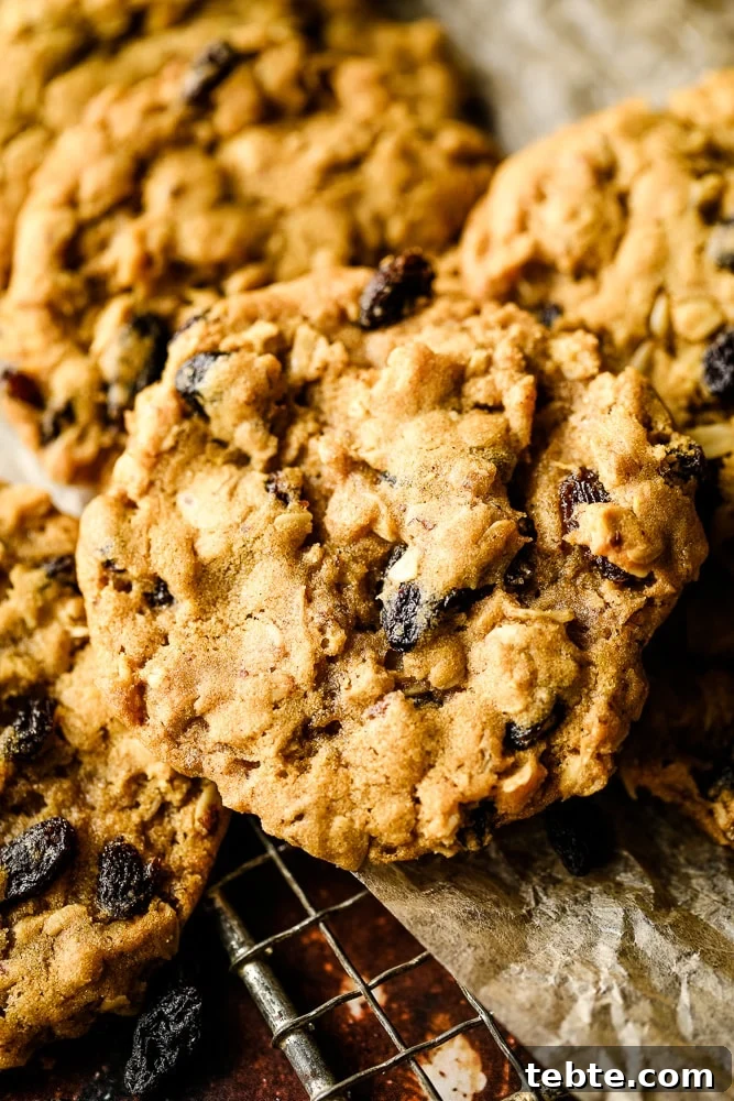 close up of a raisin oatmeal cookie on rack
