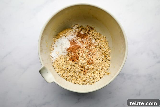 oatmeal and some cinnamon, baking powder in a bowl unmixed