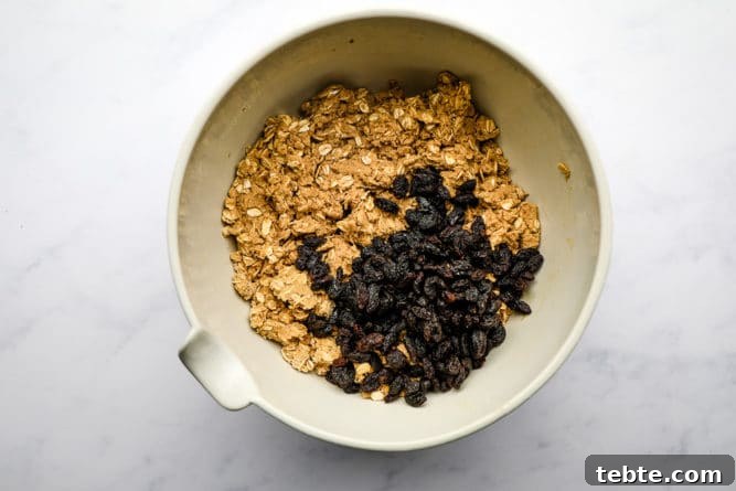 bowl with oatmeal dough and raisins added
