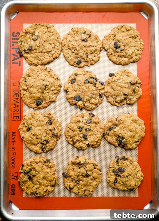 baking pan with cooked oatmeal raisin cookies on a silicone mat
