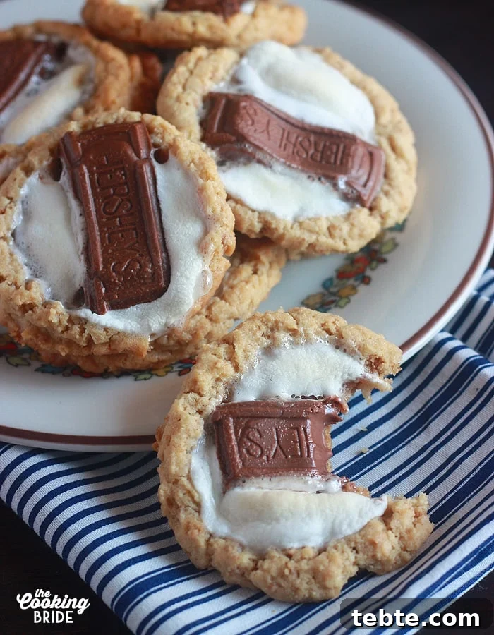 30 Creative Ways to Repurpose Leftover Halloween Candy 2 S'mores cookies