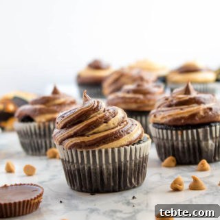 Reese’s Pieces Peanut Butter Truffle Recipe for Candy Lovers 11 img 1710 11