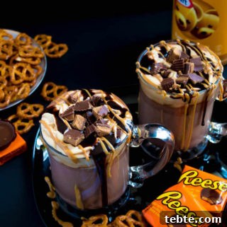 Reese’s Pieces Peanut Butter Truffle Recipe for Candy Lovers 12 img 1710 12