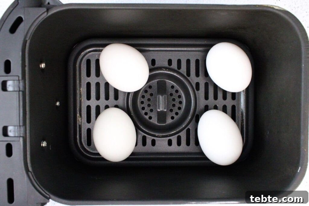 place eggs directly into air fryer basket