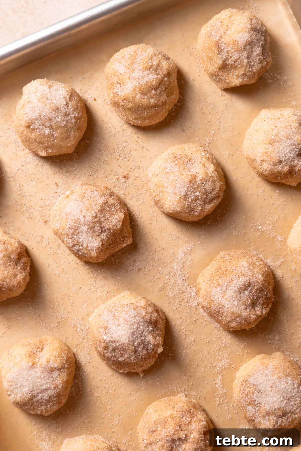 balls of cookie dough rolled in cinnamon sugar on a baking tray.