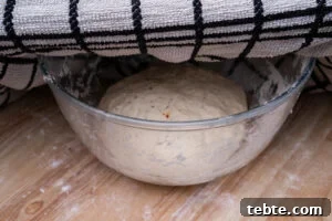 Crispy Garlic Pizza Bread Recipe — Cheesy Garlic Pull-Apart Loaf 10 Pizza Bread dough in a mixing bowl being covered over with a damp towel