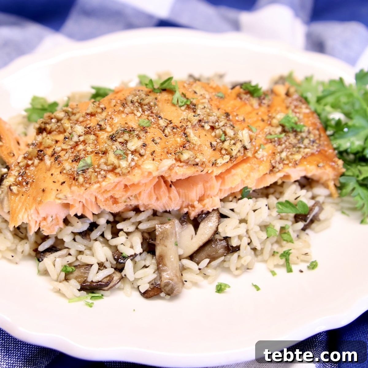 Orange Glazed Salmon Recipe with Citrus Soy Glaze 13 Salmon filet with pecans over rice.