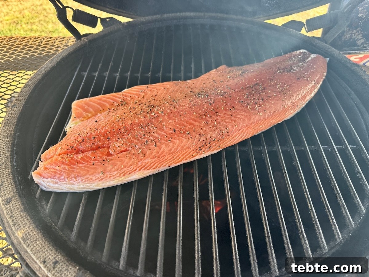 Orange Glazed Salmon Recipe with Citrus Soy Glaze 5 Grill with side of salmon fillet.