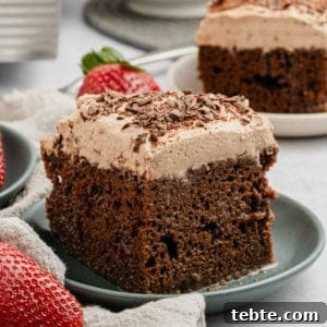 Decadent Chocolate Tres Leches Cake Recipe 9 Chocolate tres leches cake on a plate.