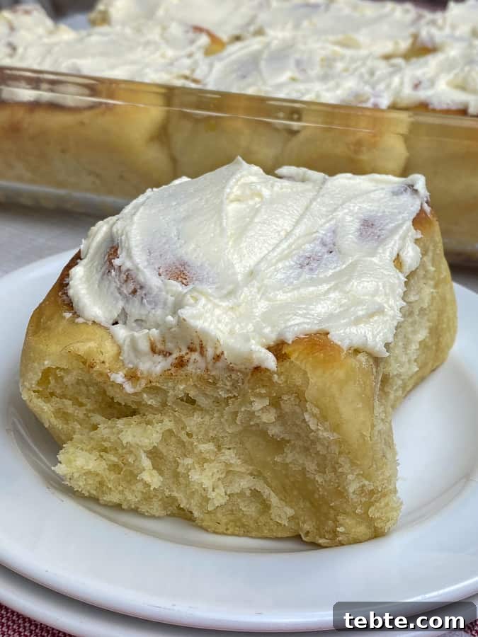 Classic Old-Fashioned Cinnamon Rolls Recipe for Soft, Gooey Buns 2 Close up Farmhouse style cinnamon roll on a plate in front of pan of rolls