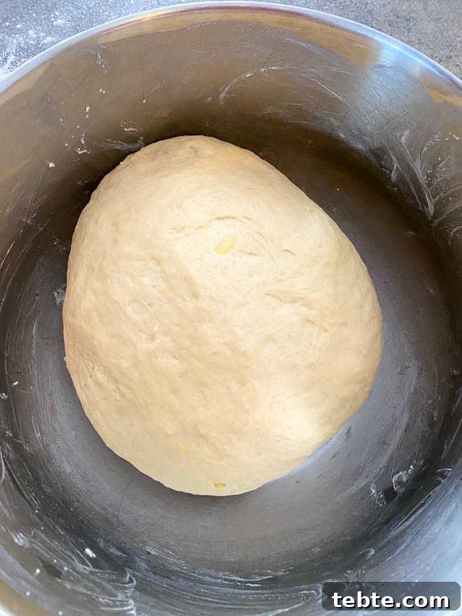 Classic Old-Fashioned Cinnamon Rolls Recipe for Soft, Gooey Buns 11 Ball of kneaded dough in a buttered dish to rise