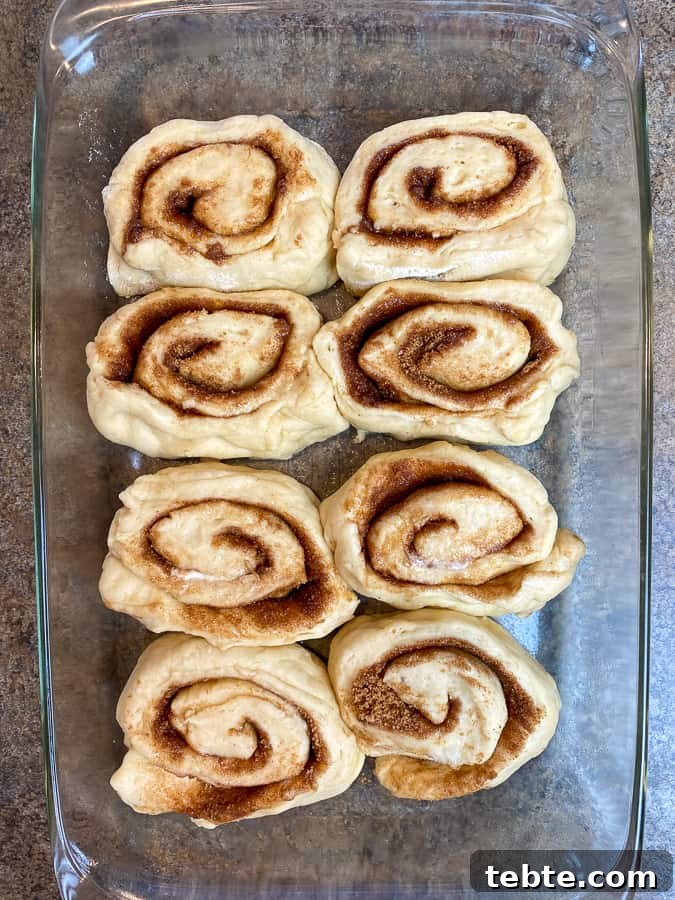 Classic Old-Fashioned Cinnamon Rolls Recipe for Soft, Gooey Buns 14 Cinnamon rolls in glass dish before rising