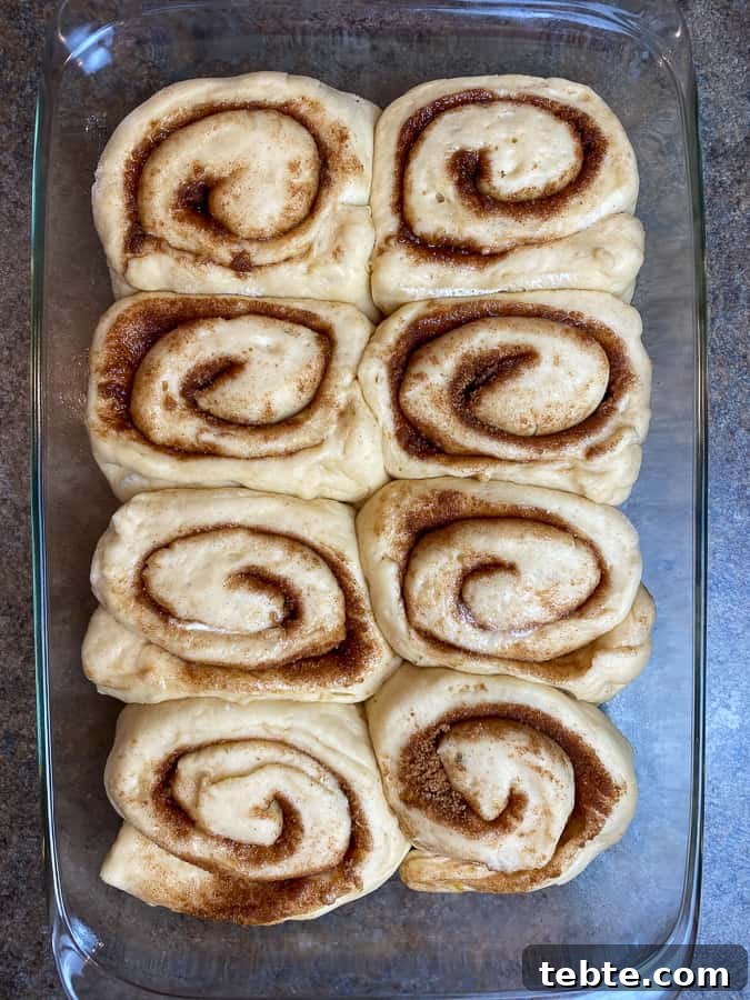 Classic Old-Fashioned Cinnamon Rolls Recipe for Soft, Gooey Buns 15 Cinnamon rolls rising in glass dish